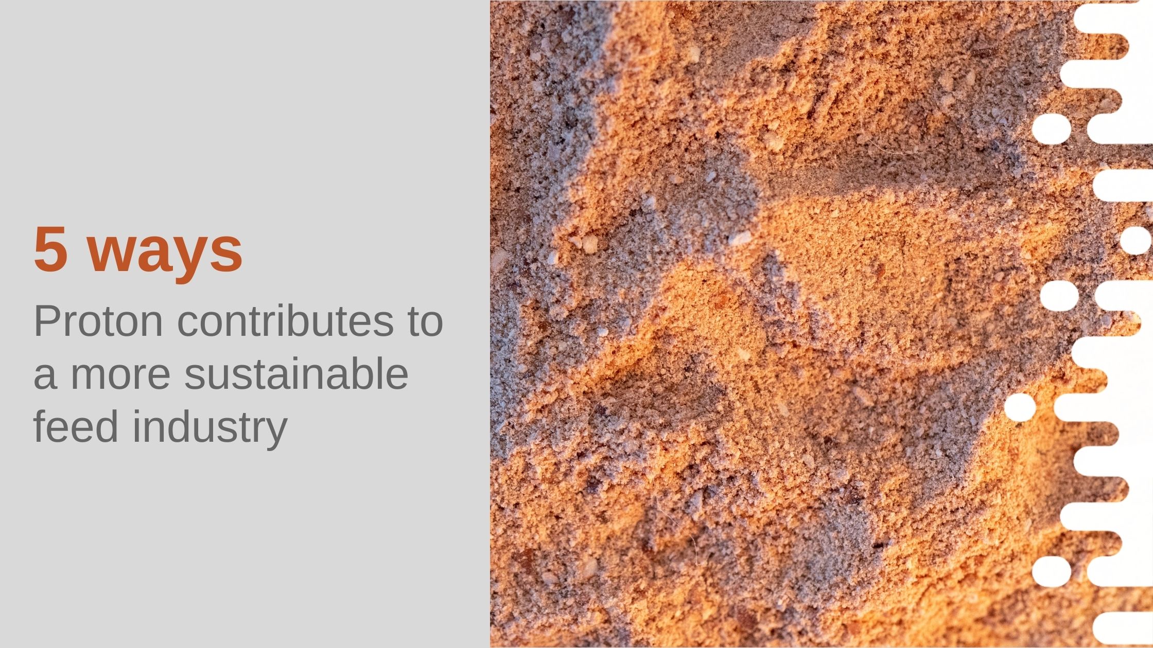 5 ways Proton contributes to a more sustainable feed industry