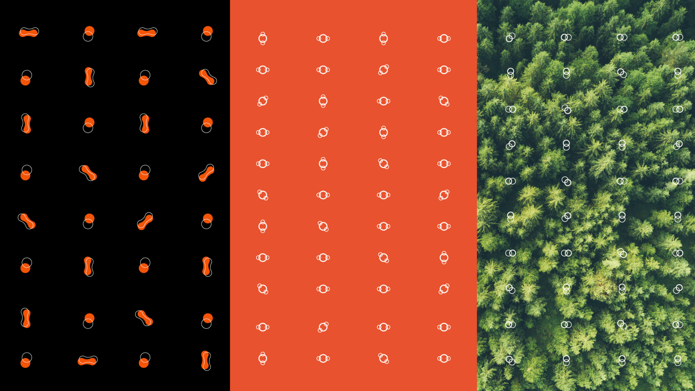 Our brand refresh story